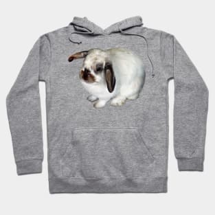 Lop-Eared Bunny Hoodie